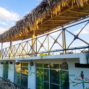 La Casa de las Aves